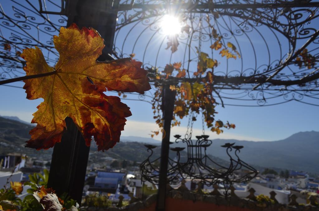 Dar Meziana Bed & Breakfast Chefchaouen Exterior photo